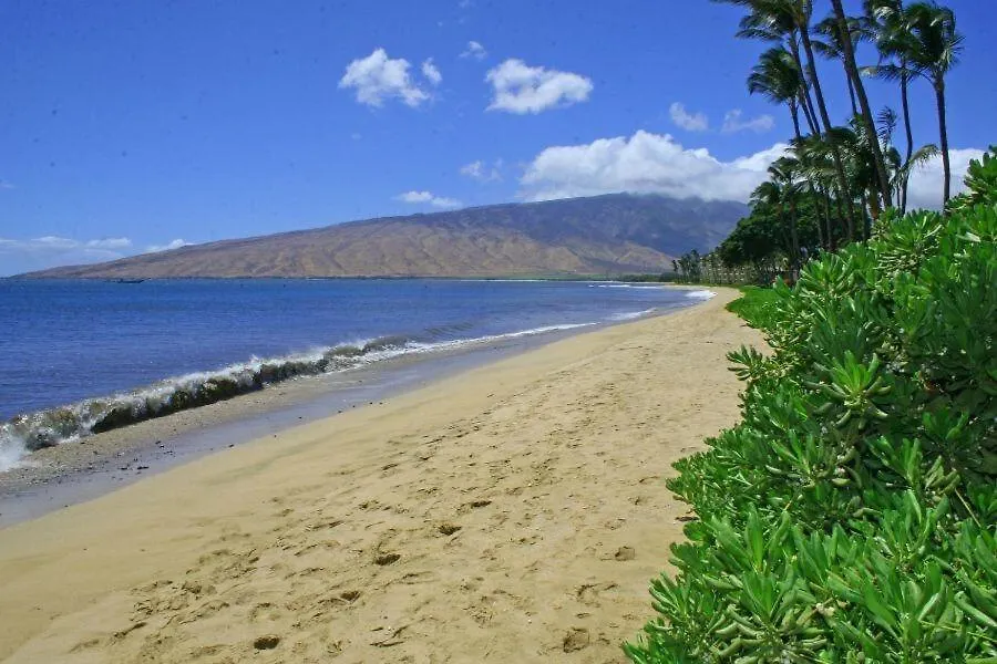 Apartment Kihei Beach, #305 Condo United States